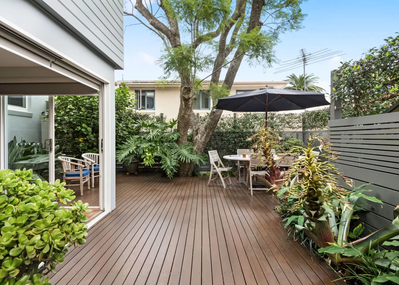 67_Pritchard_Street_Annandale_Deck 1_High